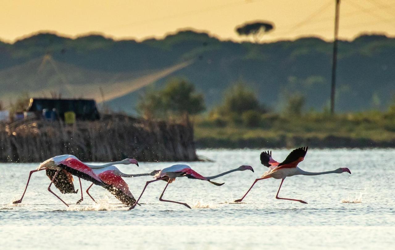 Meridiana Family & Nature Hotel مارينا روميا المظهر الخارجي الصورة